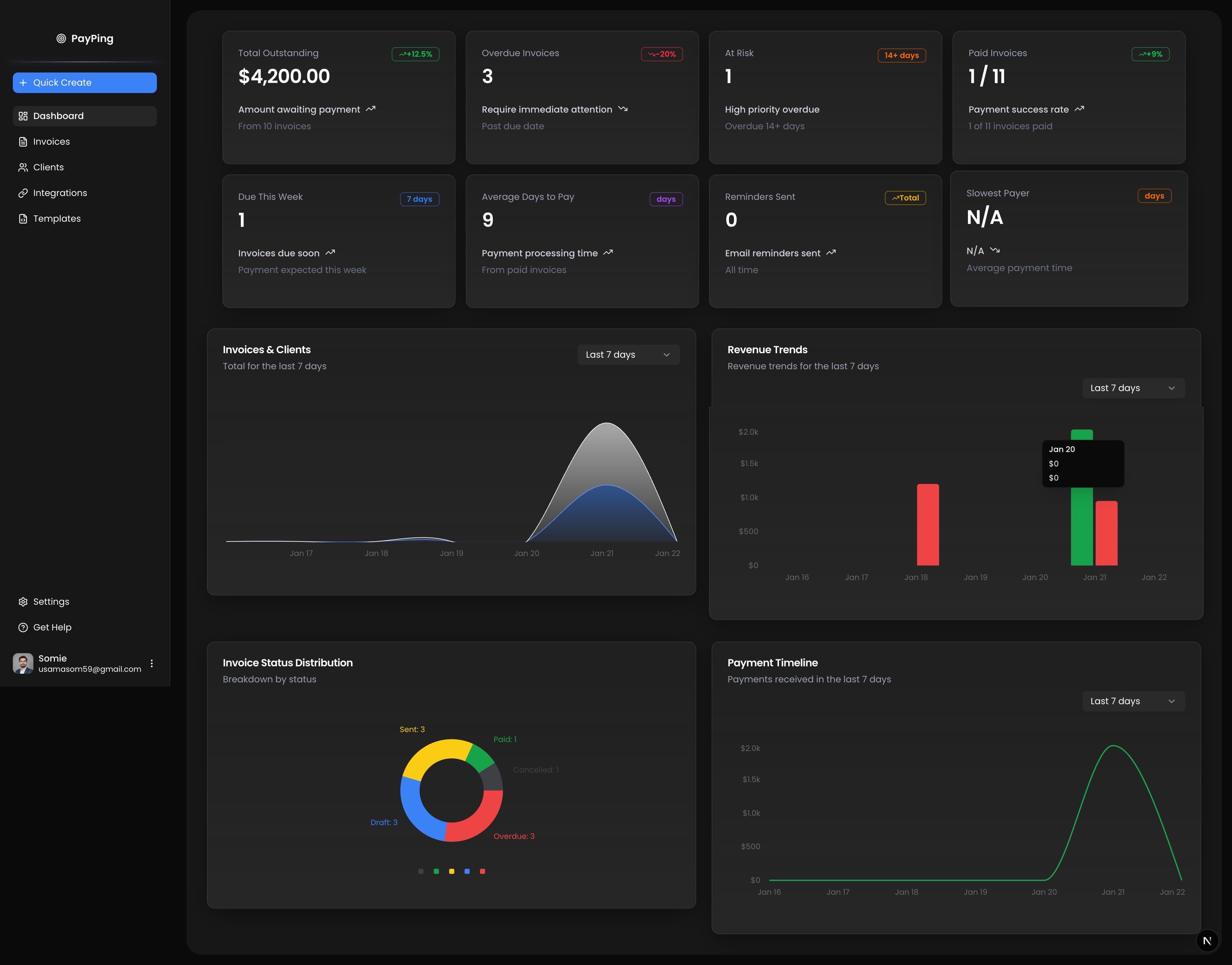 PayPing Dashboard - Manage all your invoices in one place